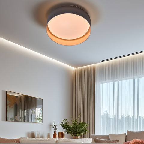 Ceiling light