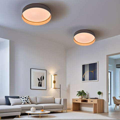 Ceiling light