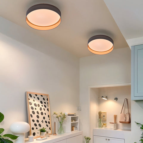 Ceiling light
