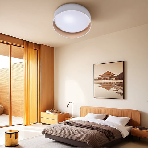 Ceiling light