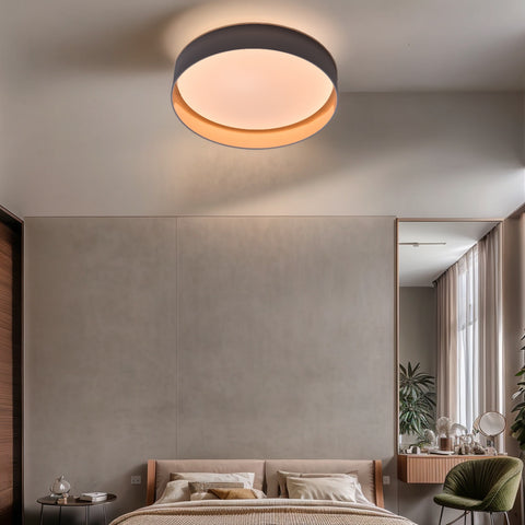 Ceiling light