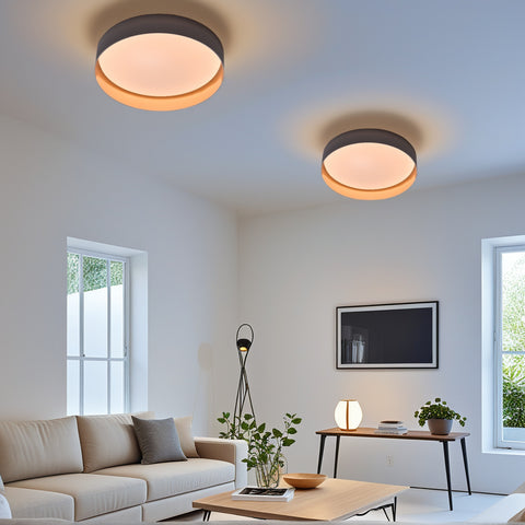 Ceiling light