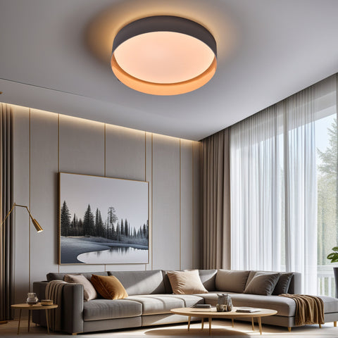 Ceiling light
