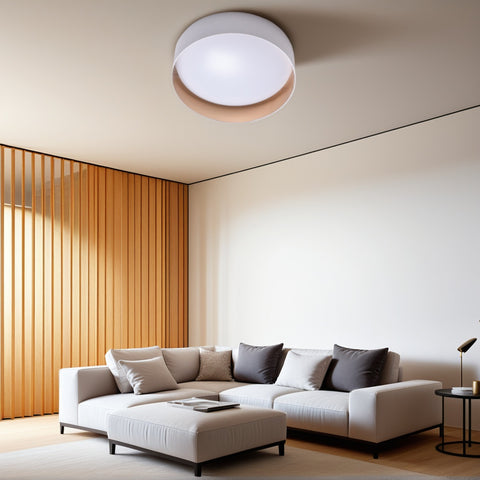 Ceiling light