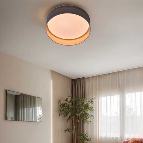 Ceiling light