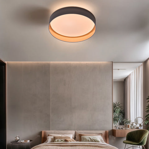 Ceiling light