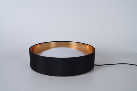 Ceiling light