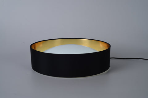 Ceiling light