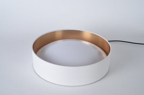 Ceiling light