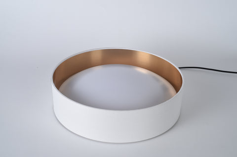 Ceiling light