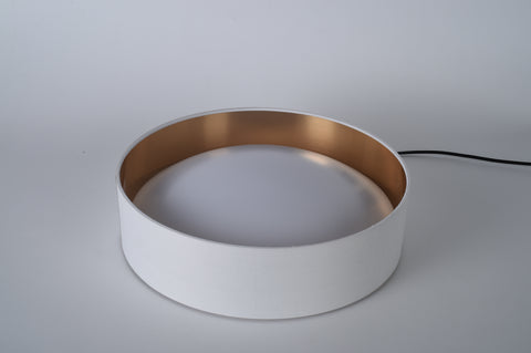 Ceiling light