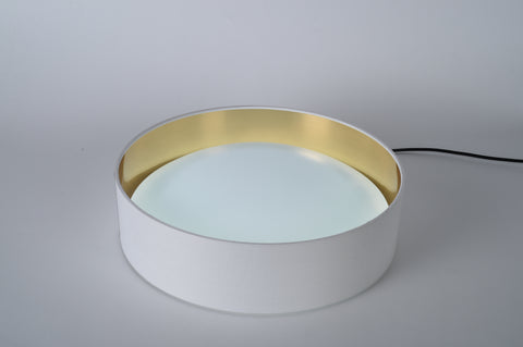 Ceiling light