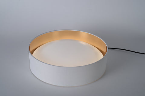 Ceiling light