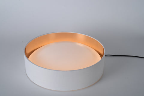 Ceiling light