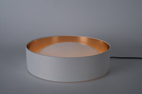 Ceiling light