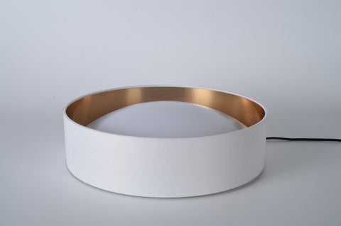 Ceiling light