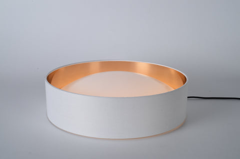 Ceiling light