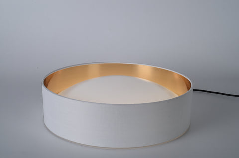 Ceiling light