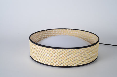 Ceiling light