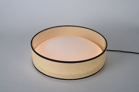 Ceiling light