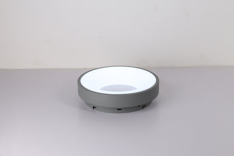Ceiling light