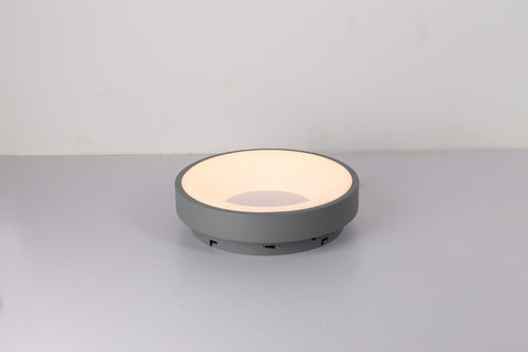Ceiling light