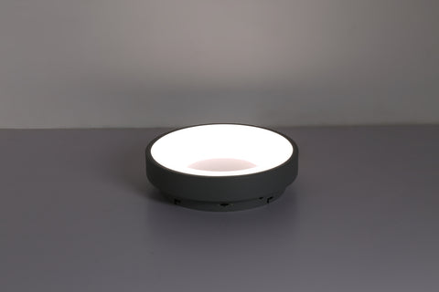 Ceiling light