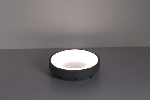Ceiling light