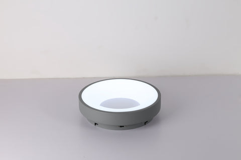 Ceiling light