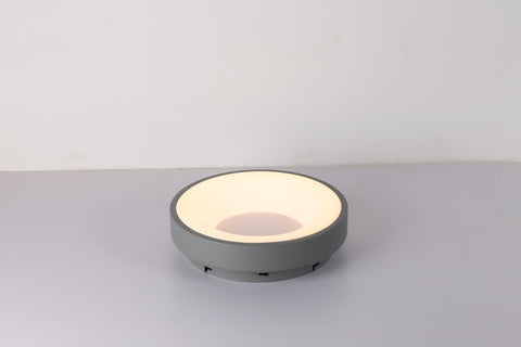 Ceiling light