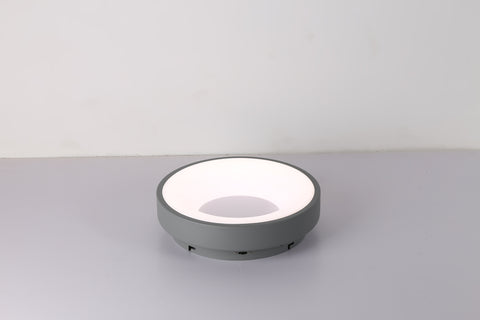 Ceiling light
