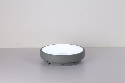 Ceiling light