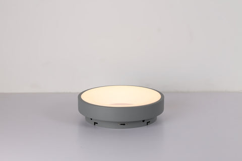Ceiling light