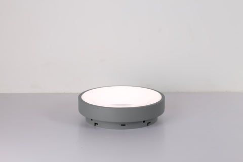 Ceiling light