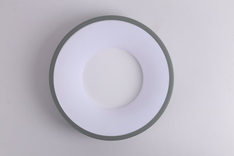 Ceiling light