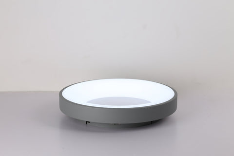 Ceiling light