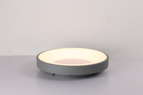 Ceiling light