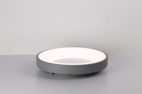 Ceiling light