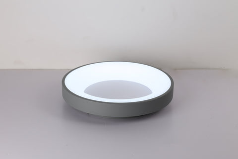 Ceiling light