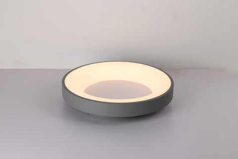 Ceiling light
