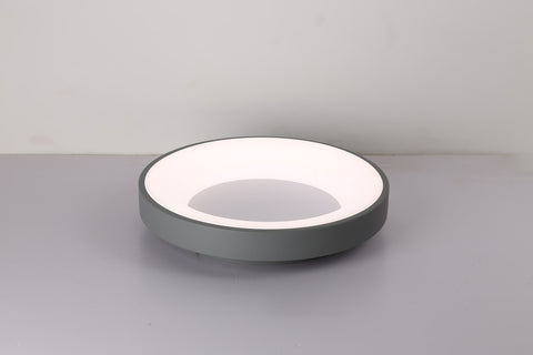 Ceiling light