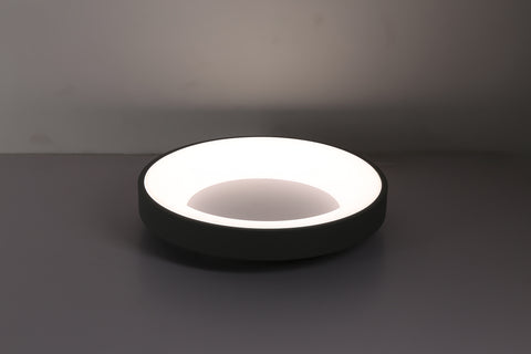 Ceiling light