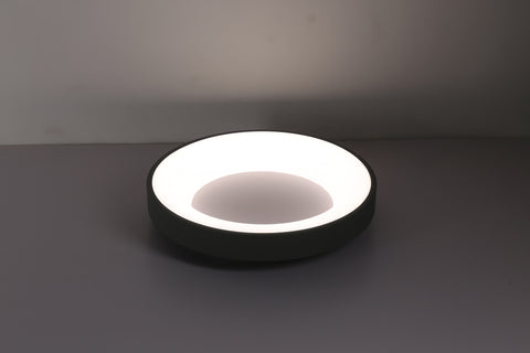 Ceiling light