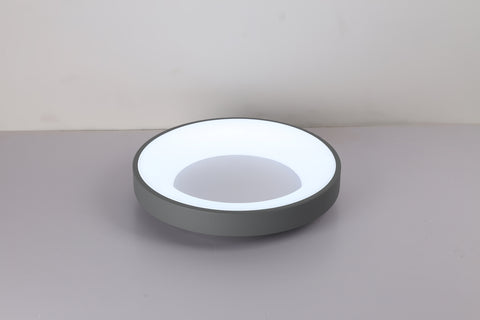 Ceiling light