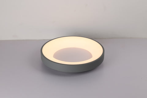 Ceiling light