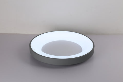 Ceiling light
