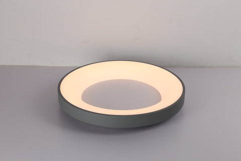 Ceiling light