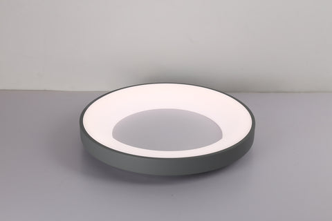 Ceiling light