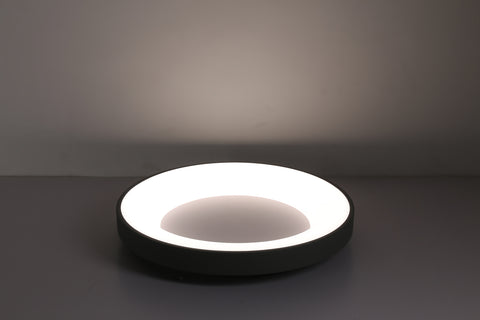 Ceiling light