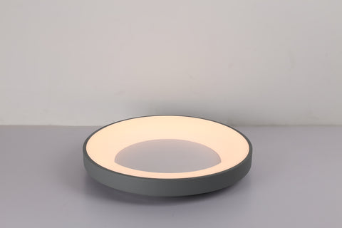 Ceiling light